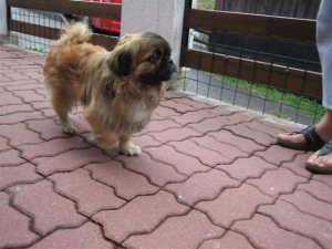 Micky